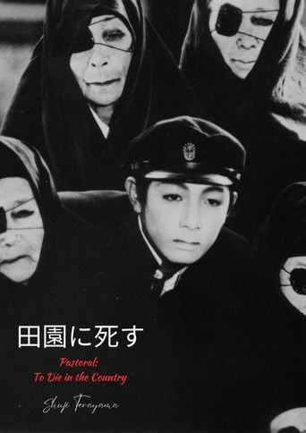 Pastoral: To Die in the Country poster