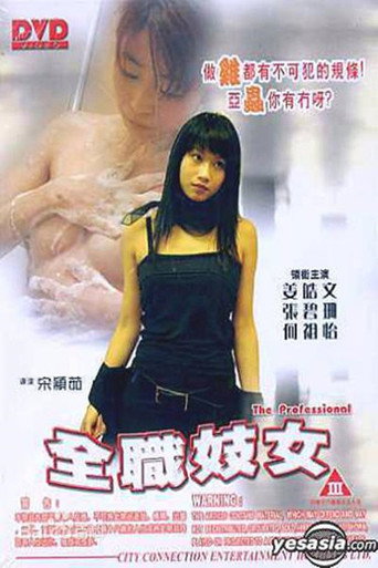 Movie poster for The Professional (2003)