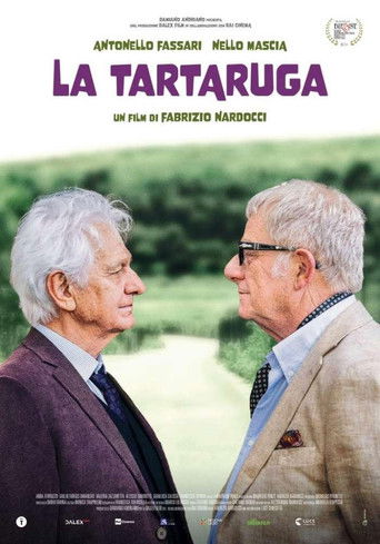 La tartaruga poster