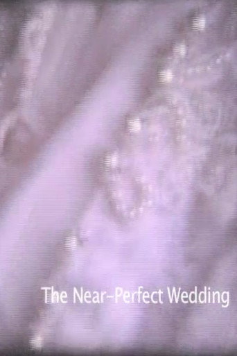 Movie poster for Near-Perfect Wedding (2007)