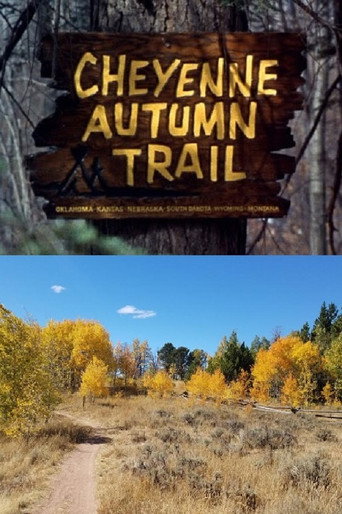 Movie poster for Cheyenne Autumn Trail (1964)