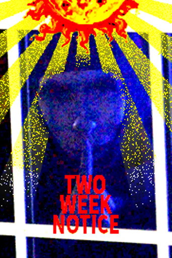 Movie poster for Two Week Notice (2025)