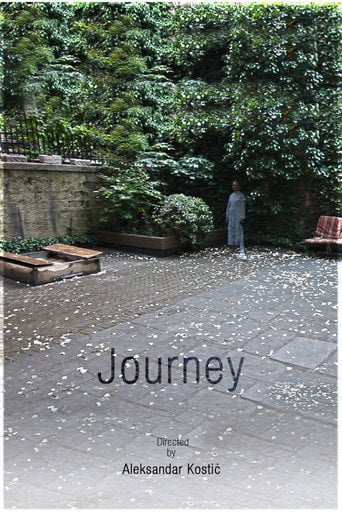Movie poster for Journey (2012)