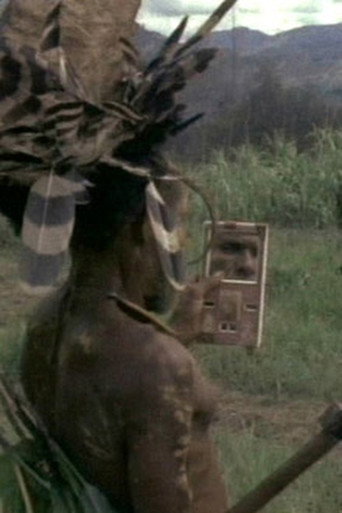 Oh, What a Blow That Phantom Gave Me! poster