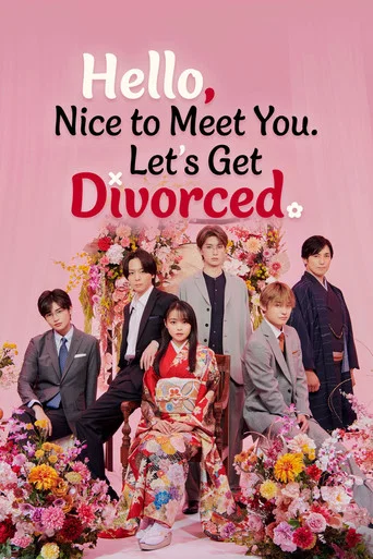 Series poster for Hello. Nice to Meet You, Let's Divorce (2024)