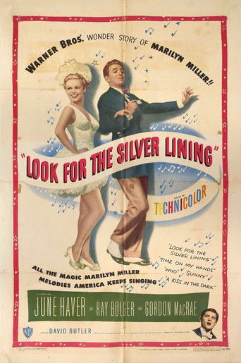 Look for the Silver Lining poster