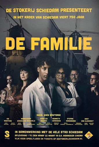 The Family poster