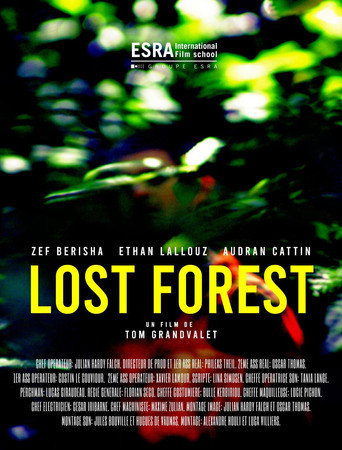 Movie poster for Lost Forest (2022)