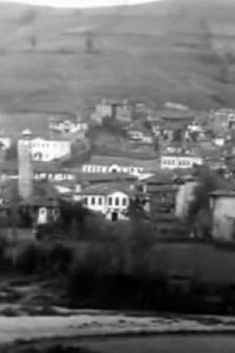 Movie poster for Panorama of the City of Grevena (1911)