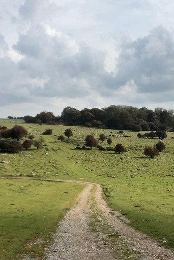 Movie poster for Journey to Avebury (2023)