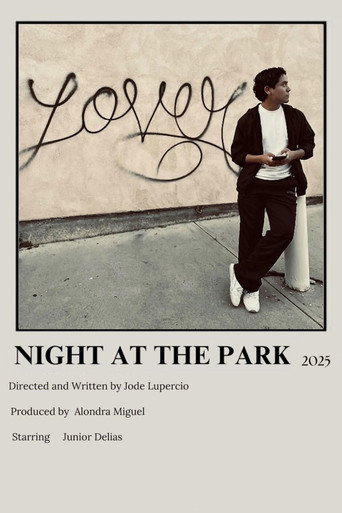 Movie poster for Night at the Park (2025)
