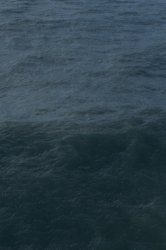 Movie poster for Twenty Nine Minutes at Sea (2017)