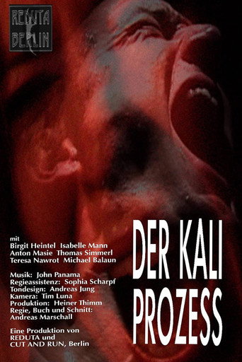 Movie poster for Der Kali Prozess (2003)
