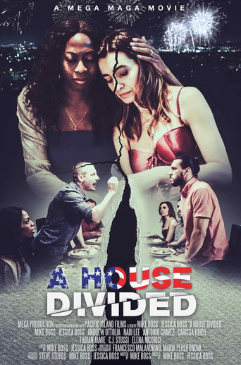 Movie poster for A House Divided (2020)