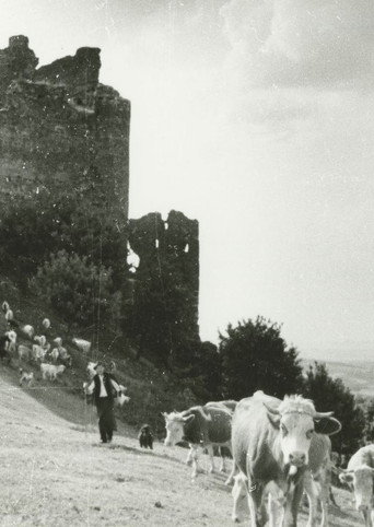 Movie poster for Stones, Castles and Men (1956)