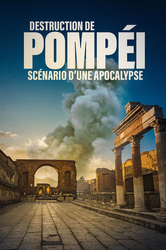 Movie poster for Destruction de Pompéi scénario d'une apocalypse (2025)