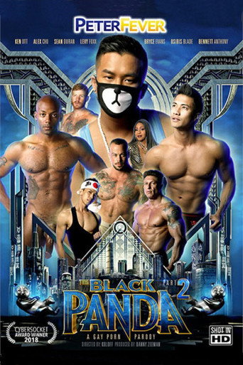 Movie poster for The Black Panda 2 (2019)