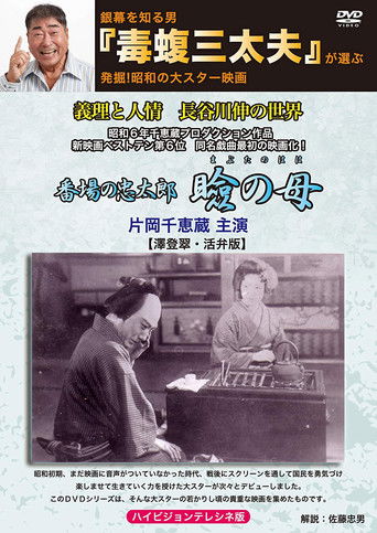 In Search of Mother poster