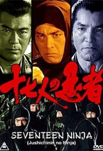 Seventeen Ninja poster