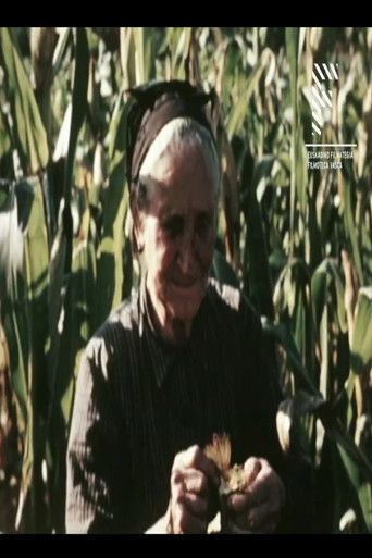 Aberria (Erria) poster