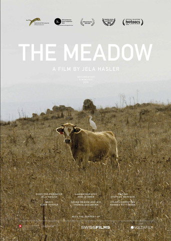 Movie poster for The Meadow (2015)