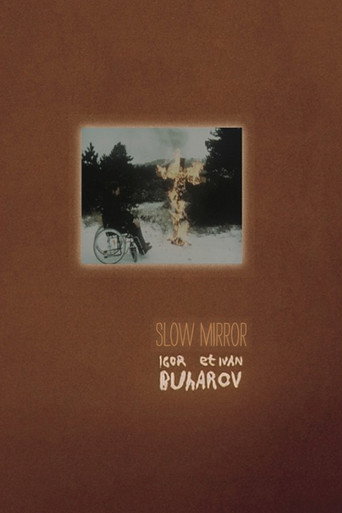 Movie poster for Slow Mirror (2007)
