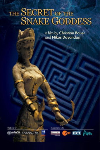 Movie poster for Τα μυστικά του Λαβυρίνθου (2008)