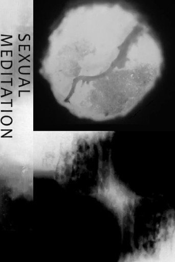 Movie poster for Sexual Meditation (2013)