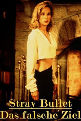 Stray Bullet poster