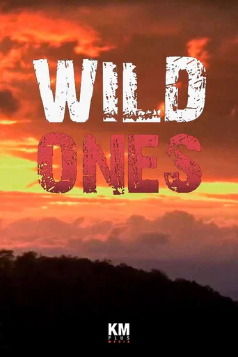 Series poster for Wild Ones (2014)