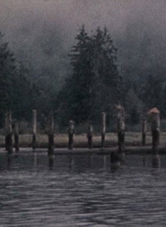 Movie poster for Narrows Inlet (1980)