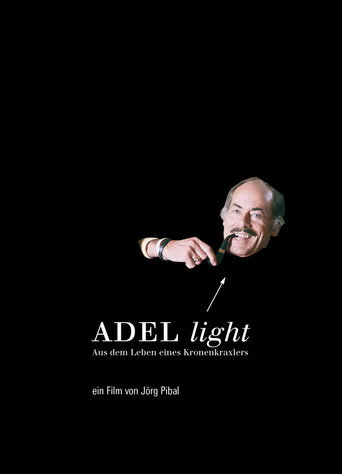 Adel Light poster