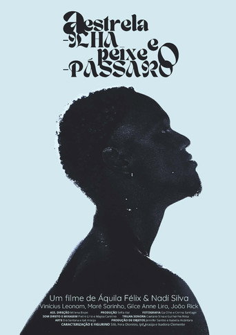 Movie poster for A Estrela-ilha e o Peixe-pássaro