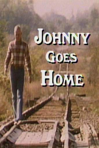 Movie poster for Johnny Goes Home (1982)