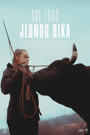 Movie poster for About a Bull (2024)