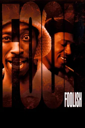 Foolish poster