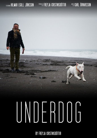 Movie poster for Underdog (2018)