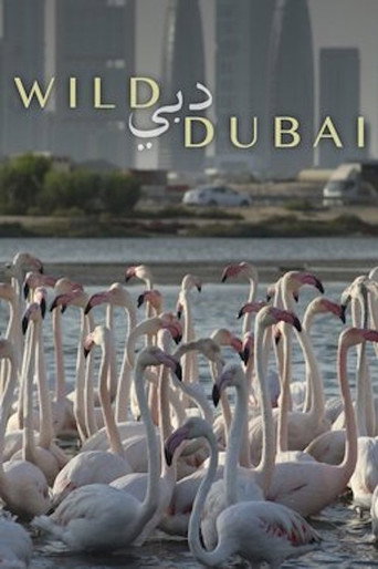 Movie poster for Wild Dubai