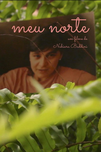 Movie poster for Meu Norte (2023)