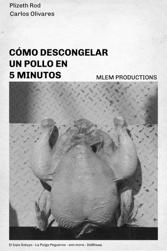 Movie poster for How to defrost a chicken in 5 minutes