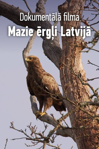 Movie poster for Mazie ērgļi Latvijā (2021)