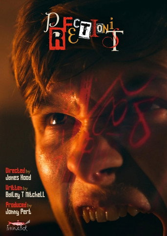 Movie poster for Perfectionist (2020)