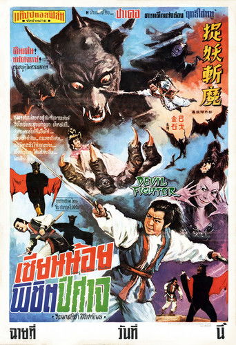 Devil Fighter poster