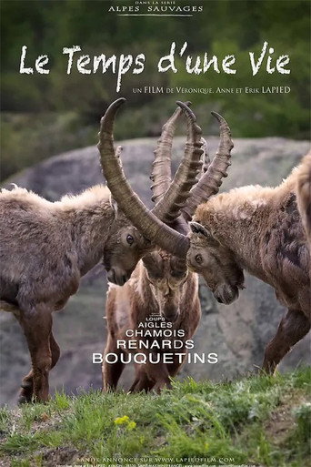 Movie poster for The Time of a Life (2020)