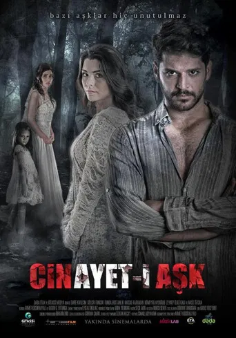 Cinayet-i Aşk poster
