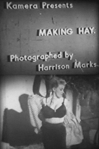 Movie poster for Making Hay (1960)