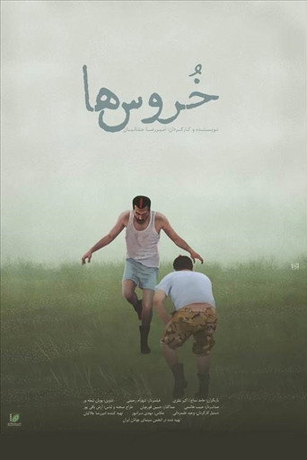 Movie poster for Cocks