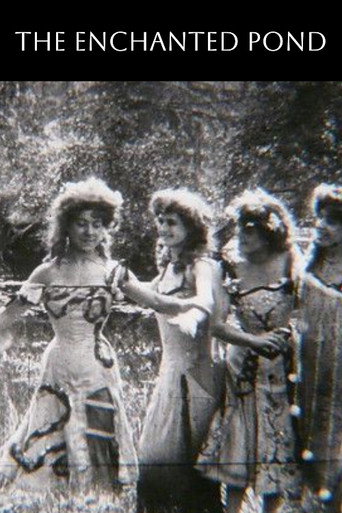 Movie poster for The Enchanted Pond (1907)