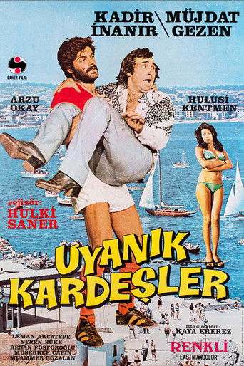 Uyanık Kardeşler poster