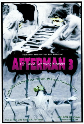 Movie poster for Afterman III: The Global Warming Disaster (2013)
